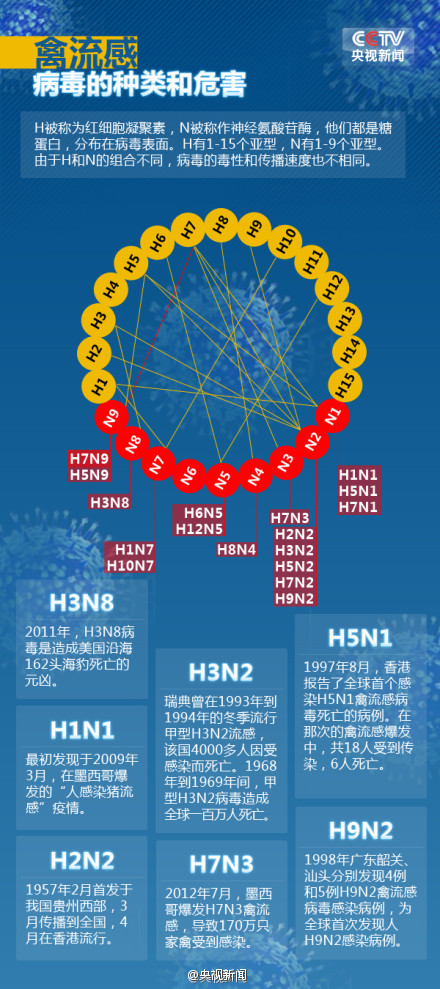 最新HN9，改变未来的潜力股，HN9，潜力股塑造未来新篇章